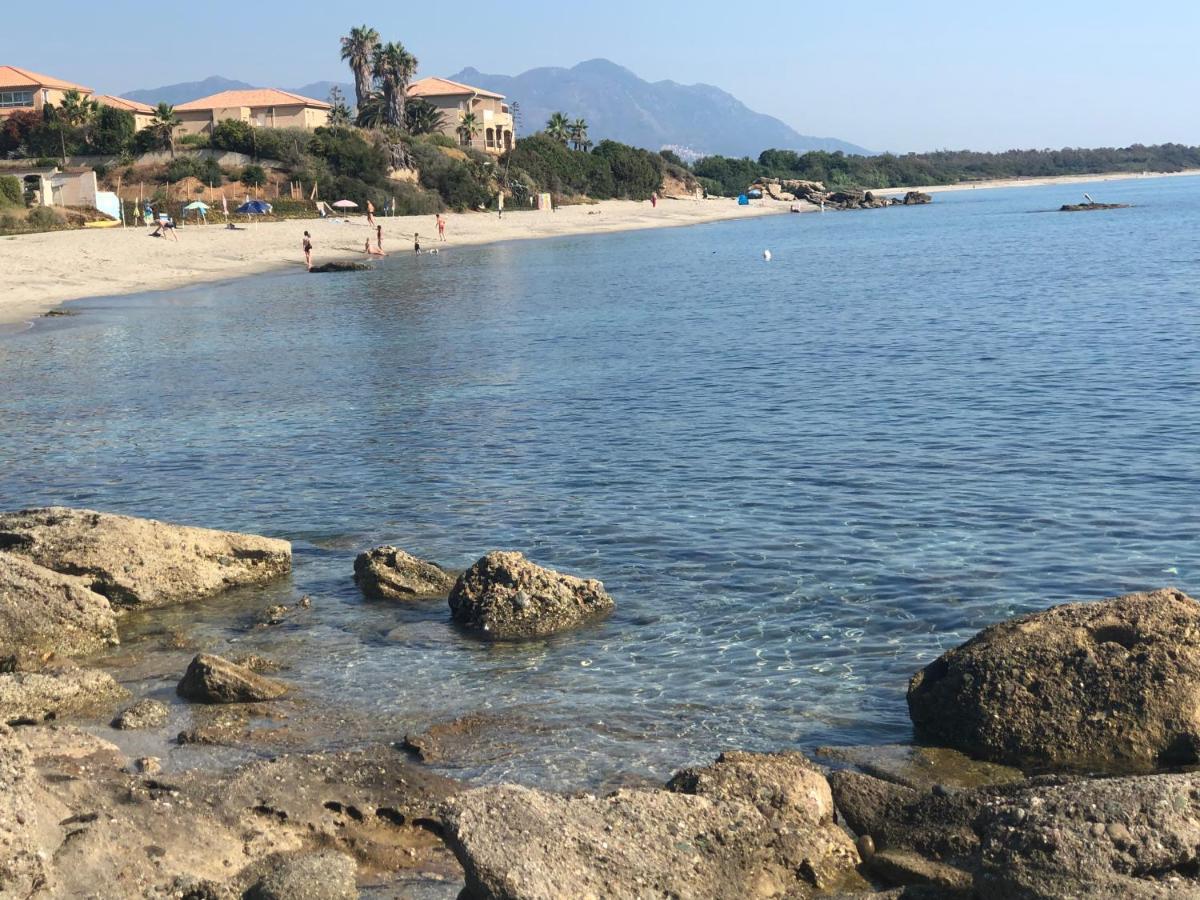 La Corse Tranquille 300M De La Plage Et Piscine Linguizzetta ภายนอก รูปภาพ